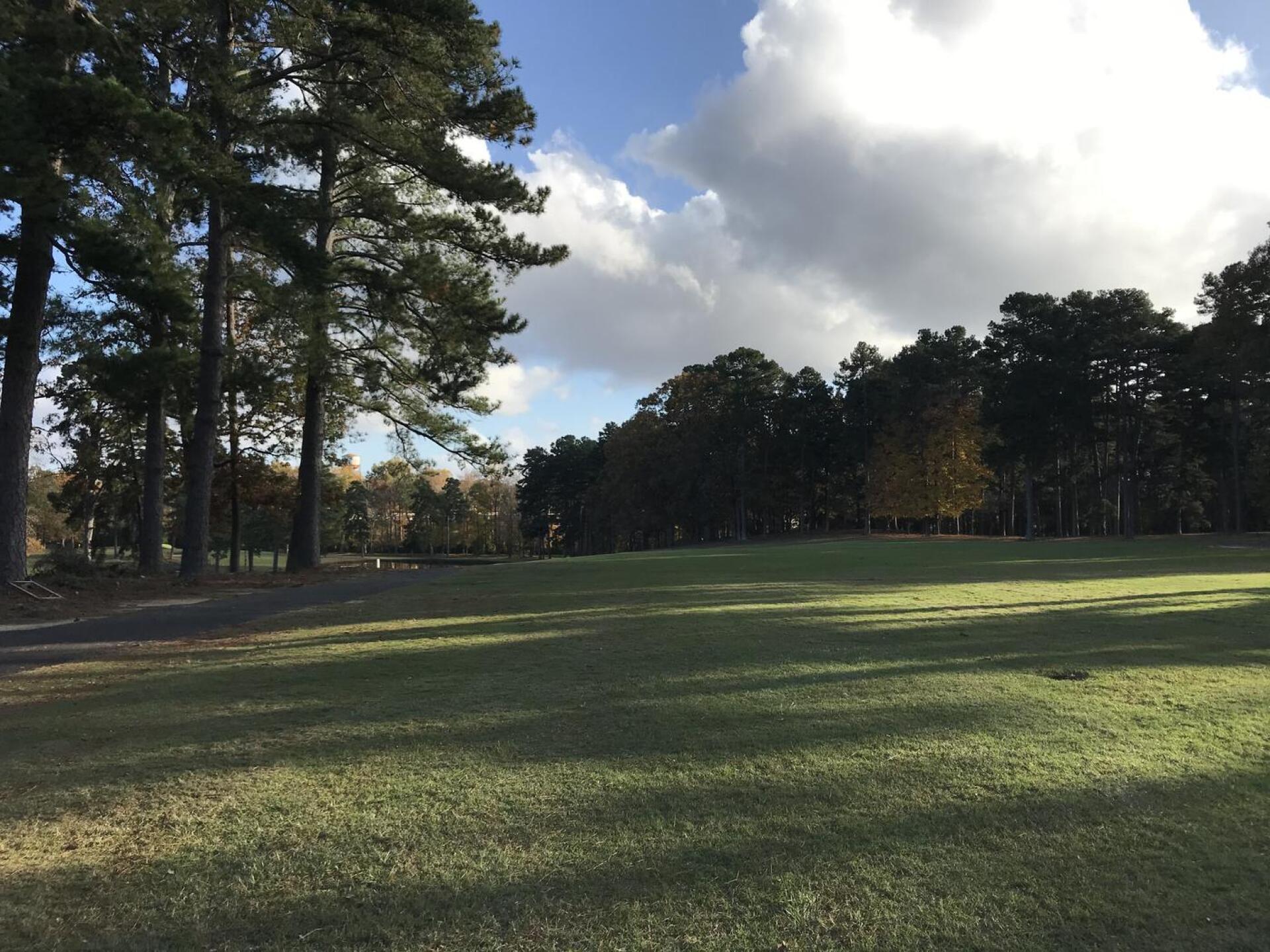 A beautiful day in Asheboro (Photo submitted by JT8360490 on 11/10/2020)
